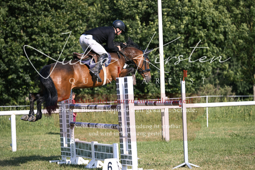 DSC_1586 | Pferde- und Turnierfotografie in Westsachsen. Pferdeportraits, Auftragszeichnungen und intuitive Kunst.