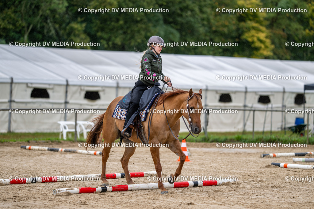 LM Heiligenwald Tag 3-347 | dv-media-shop - Realisiert mit Pictrs.com