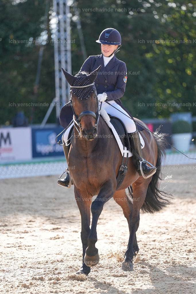09_1-155-DRESSUR  S_  -StoibPH-5586 | working equitationturnier fotograf videograf stoibphotography marixx film working equitation deutschland reitsport turnierfotografie eventfotografie equestrian events