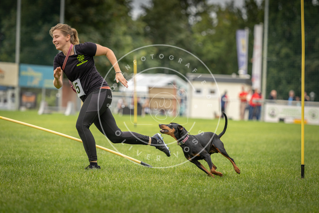 Pfotenfotografie_DV3A8036 | Hundefotografie, Tierfotograf, Pfotenfotografie, Fotoshooting Hund, Hunde Portrait, Hundesport, Hundeportraits, Heideshooting, Hunde, Sportfotograf, Hundefotograf, Turnierhundsport, THS,  - Realisiert mit Pictrs.com