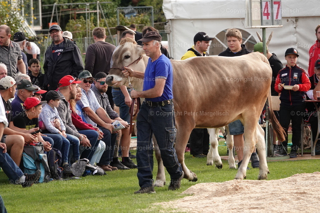 DSC08459 | Schwingen - Realisiert mit Pictrs.com