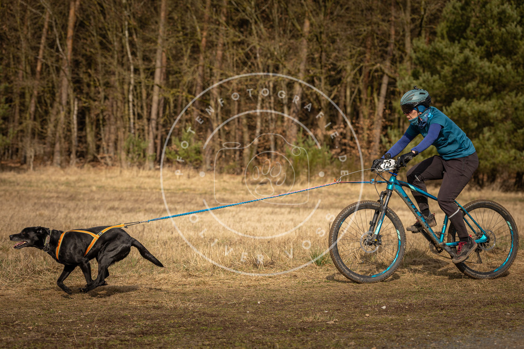 DV3A4536 | Hundefotografie, Tierfotograf, Pfotenfotografie, Fotoshooting Hund, Hunde Portrait, Hundesport, Hundeportraits, Heideshooting, Hunde, Sportfotograf, Hundefotograf, Turnierhundsport, THS,  - Realisiert mit Pictrs.com