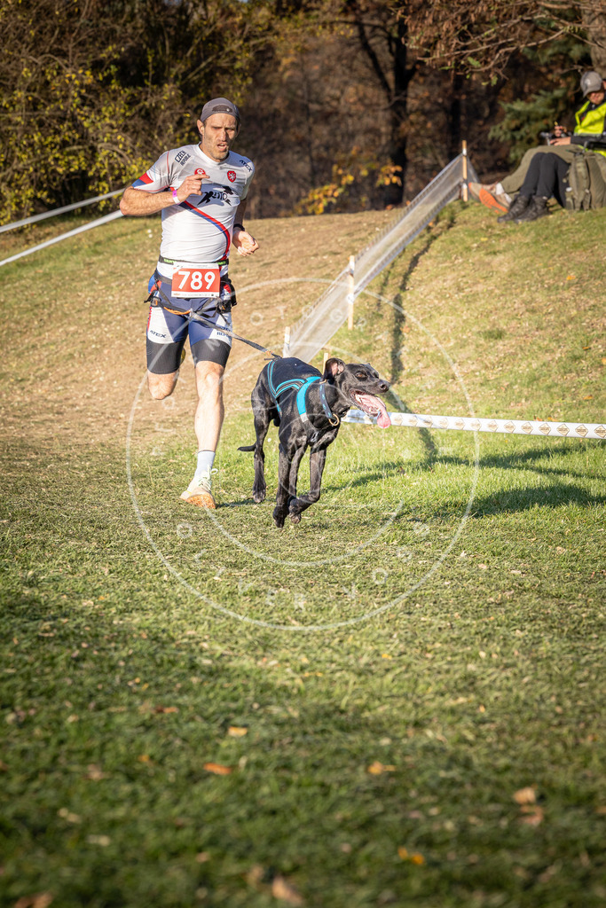 CaniXpix_0L8A0206 | Hundefotografie, Tierfotograf, Pfotenfotografie, Fotoshooting Hund, Hunde Portrait, Hundesport, Hundeportraits, Heideshooting, Hunde, Sportfotograf, Hundefotograf, Turnierhundsport, THS,  - Realisiert mit Pictrs.com