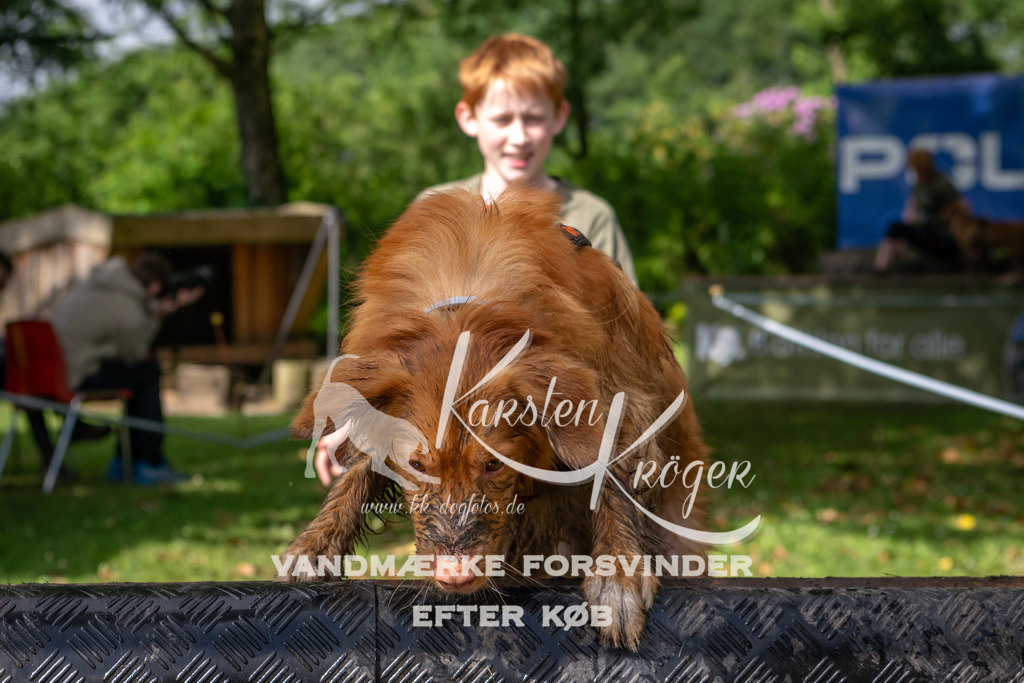 0906_ZZ93520 | kk-dogfotos