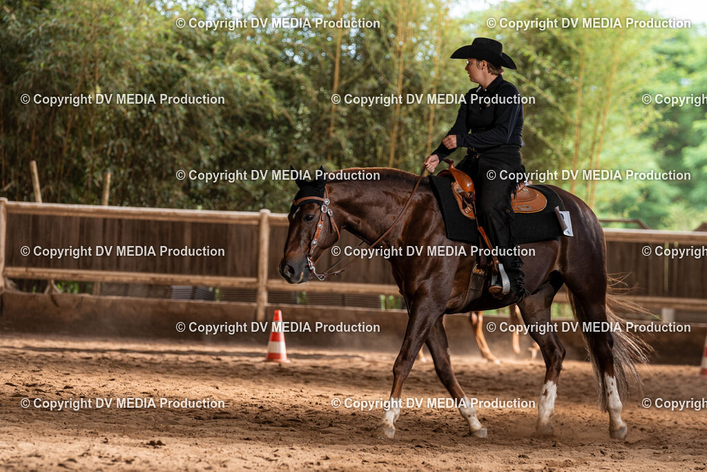 Erbach Tag 1-1093 | dv-media-shop - Realisiert mit Pictrs.com