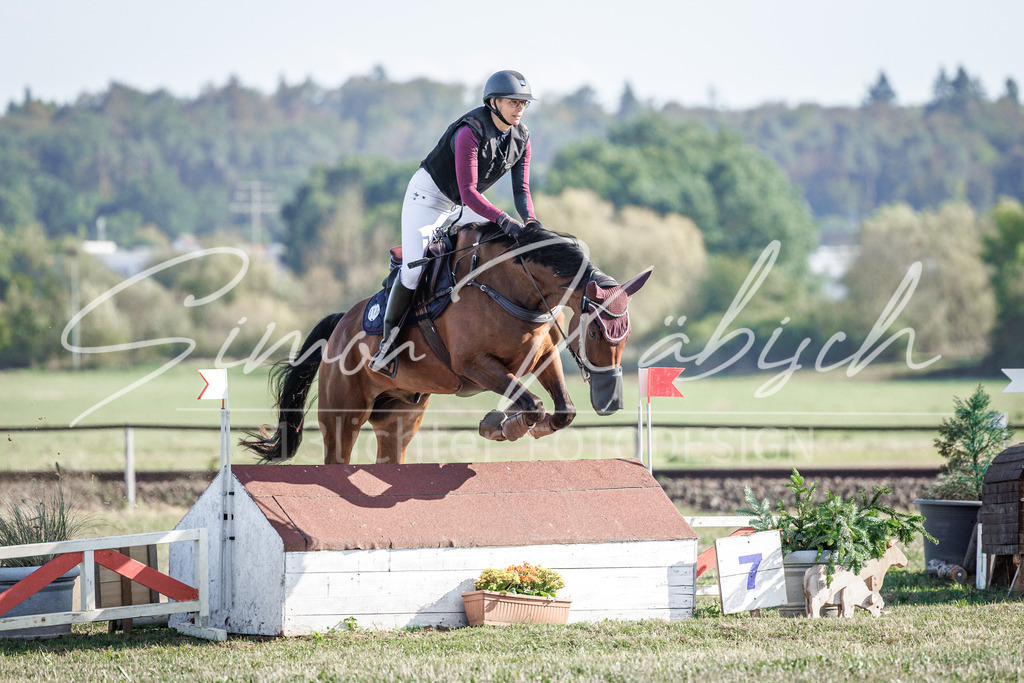 20260905-_3LI0399 | Tierfotografie Pferde, Hunde, Katzen, Haustiere.
Turnierfotografie Reitturniere, Reiten, Springreiten, Dressur in Hanau, dem Main-Kinzig-Kreis und dem Rhein-Main- Gebiet um Frankfurt