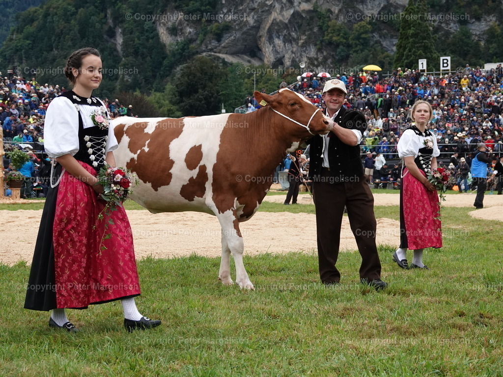 DSC05330 | Schwingen - Realisiert mit Pictrs.com