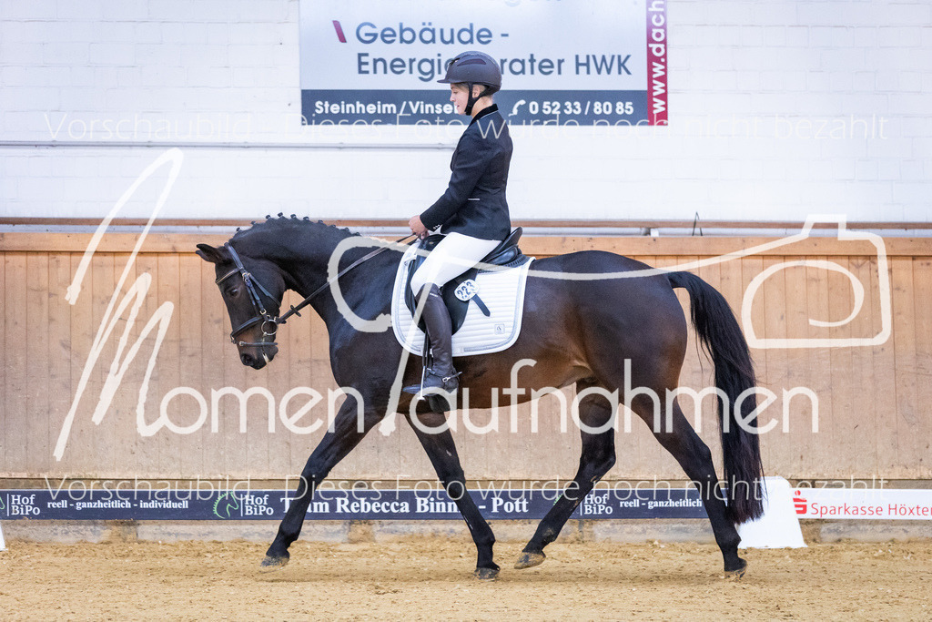 Sth-A-Dre-1St-009 | MomenTaufnahmen Pferdesportfotos