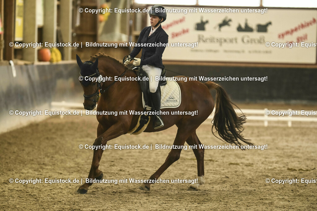20231029_05_Dressur-A_0251 | Foto: Thomas Hartig