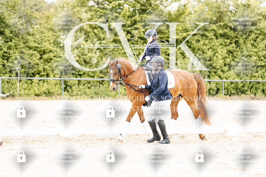 CK903651 | Turnierfotografie Pferdefotografie Trier Rheinland-Pfalz Pferdesport Reitsport Tierfotografie Sportfotografie Pferdevideo Pferdevideografie Equestrianvideography equestrianphotography  - Realisiert mit Pictrs.com