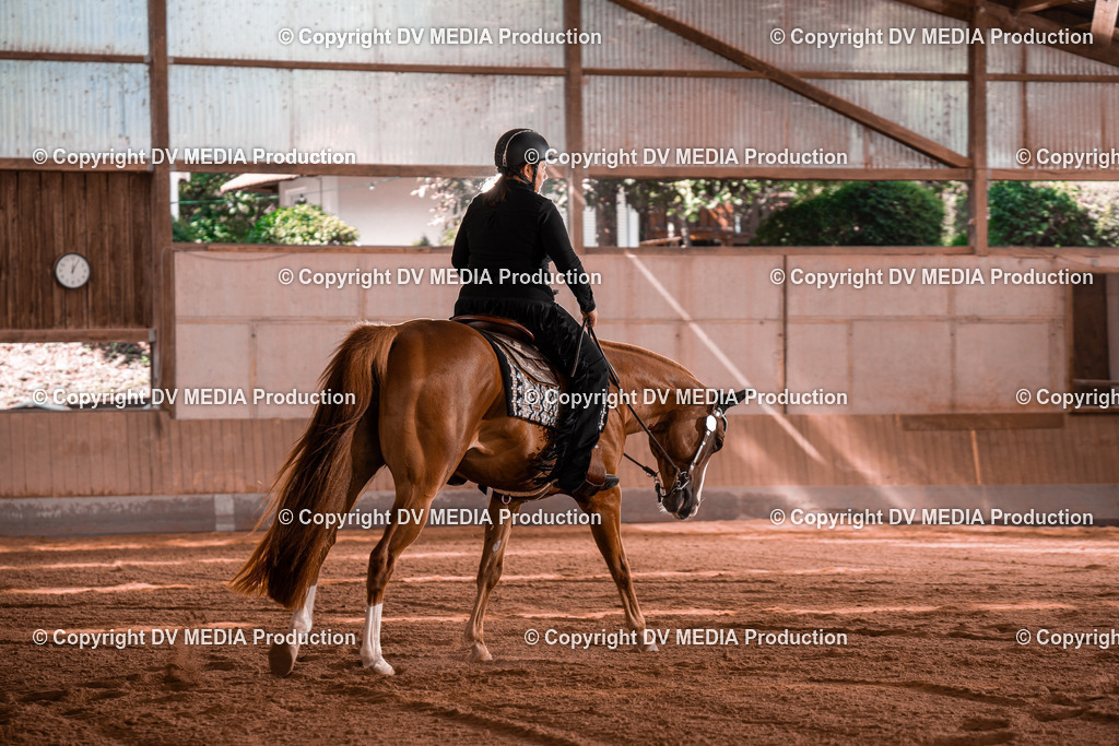 NE100344 | dv-media-shop - Realisiert mit Pictrs.com