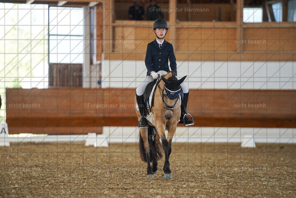 20240824-FAH07070 | Thierhaupten 2024, Bayerisches Landesponyturnier, Turnierbilder, Ponybilder, Turnierfotografen Bayern, Fotoagentur Herrmann