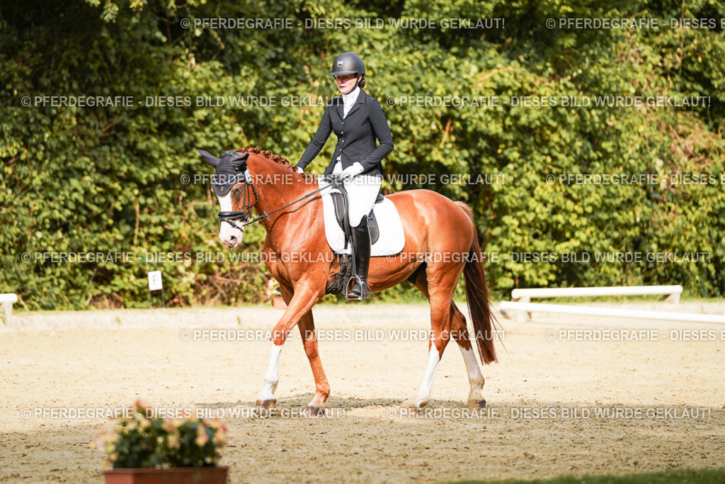 DSC03304 | Pferdegrafie