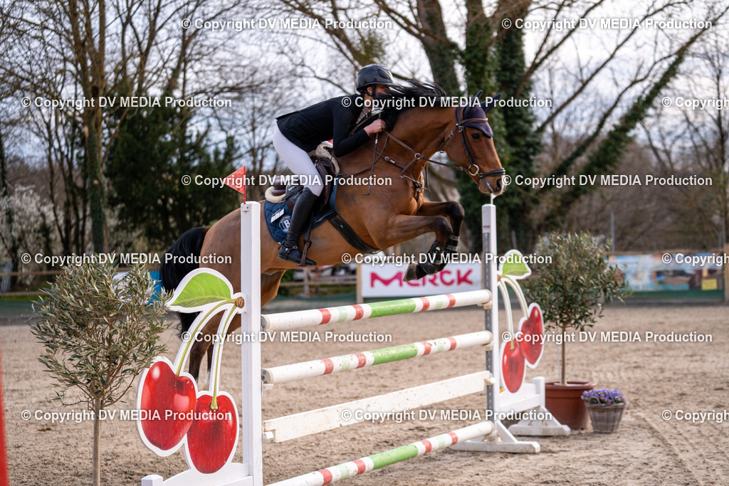 Kranichstein Tag 2-2240 | dv-media-shop - Realisiert mit Pictrs.com