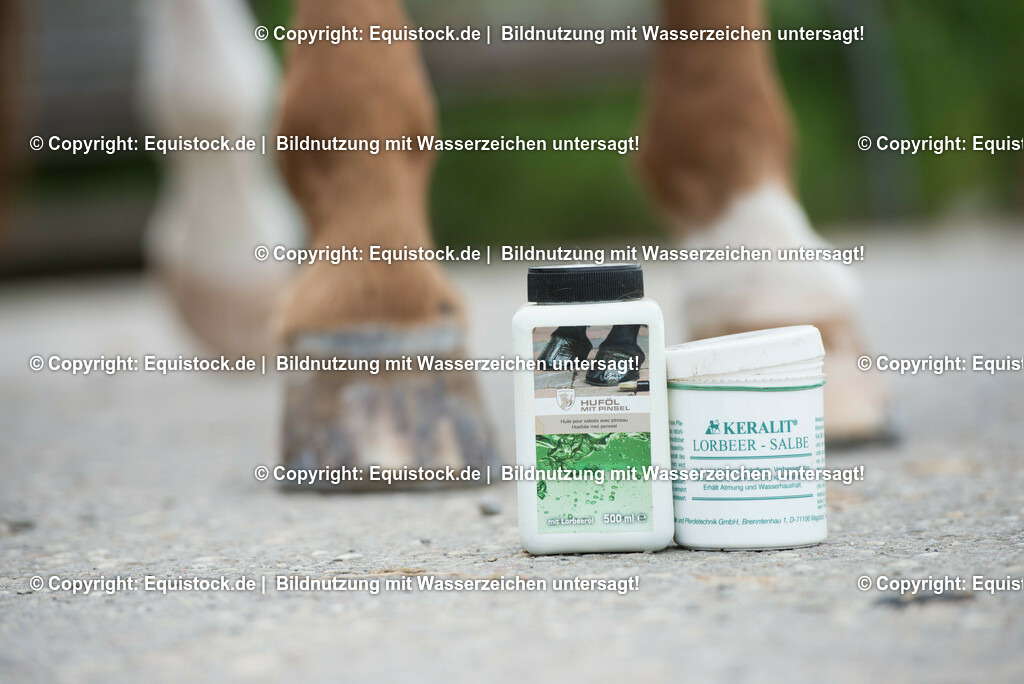 20160626_Hufpflege_0005 | Foto: Thomas Hartig