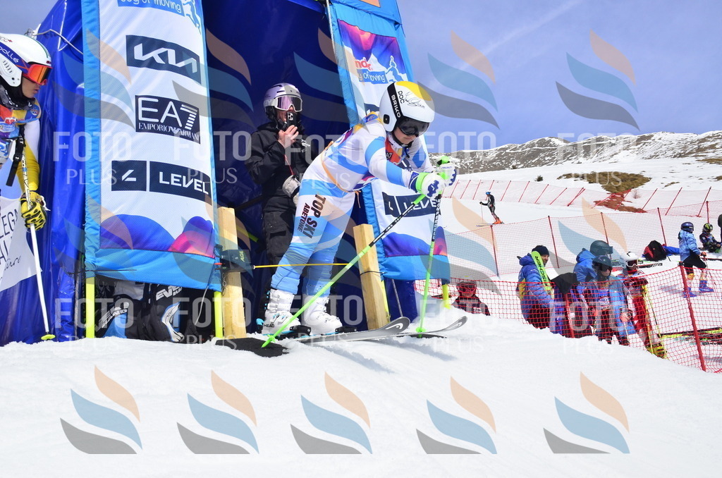 _ELE1834 | holidayphoto