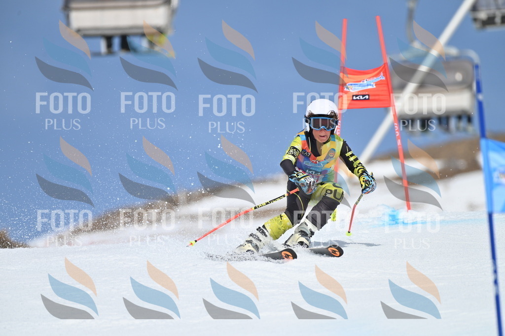 BGV_0817 | holidayphoto