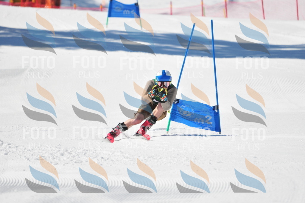 C3485 | holidayphoto