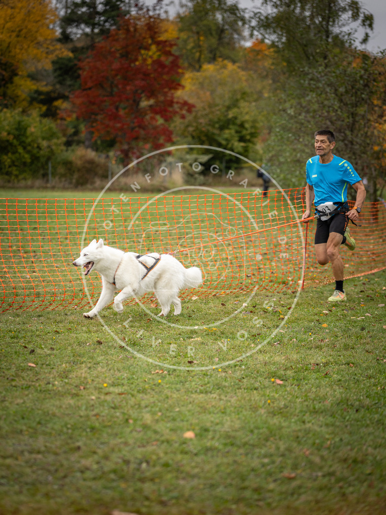 Pfotenfotografie_DV3A3332 | Hundefotografie, Tierfotograf, Pfotenfotografie, Fotoshooting Hund, Hunde Portrait, Hundesport, Hundeportraits, Heideshooting, Hunde, Sportfotograf, Hundefotograf, Turnierhundsport, THS,  - Realisiert mit Pictrs.com