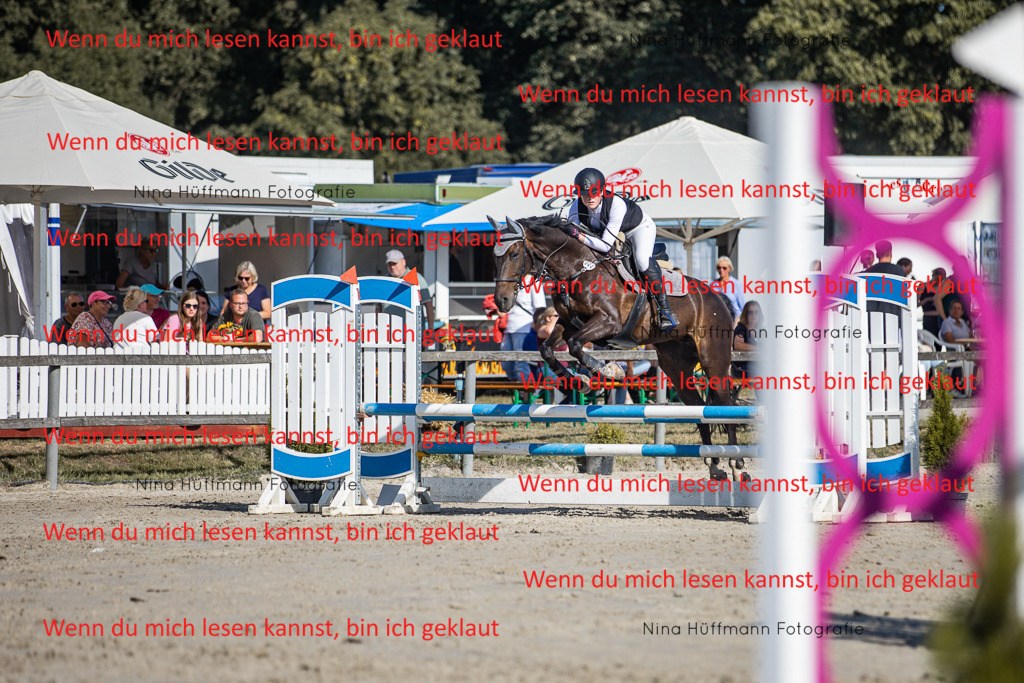 BK1A7364 | Turnierbilder Turnierfotos Nina Hüffmann Turnierfotografie Pferdefotografie Tierzeichnung Haustierzeichnung Pferdezeichnung Hundezeichnung Videograf  - Realisiert mit Pictrs.com