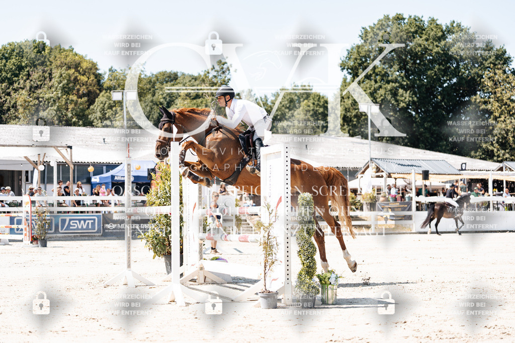 CK909531 | Turnierfotografie Pferdefotografie Trier Rheinland-Pfalz Pferdesport Reitsport Tierfotografie Sportfotografie Pferdevideo Pferdevideografie Equestrianvideography equestrianphotography  - Realisiert mit Pictrs.com