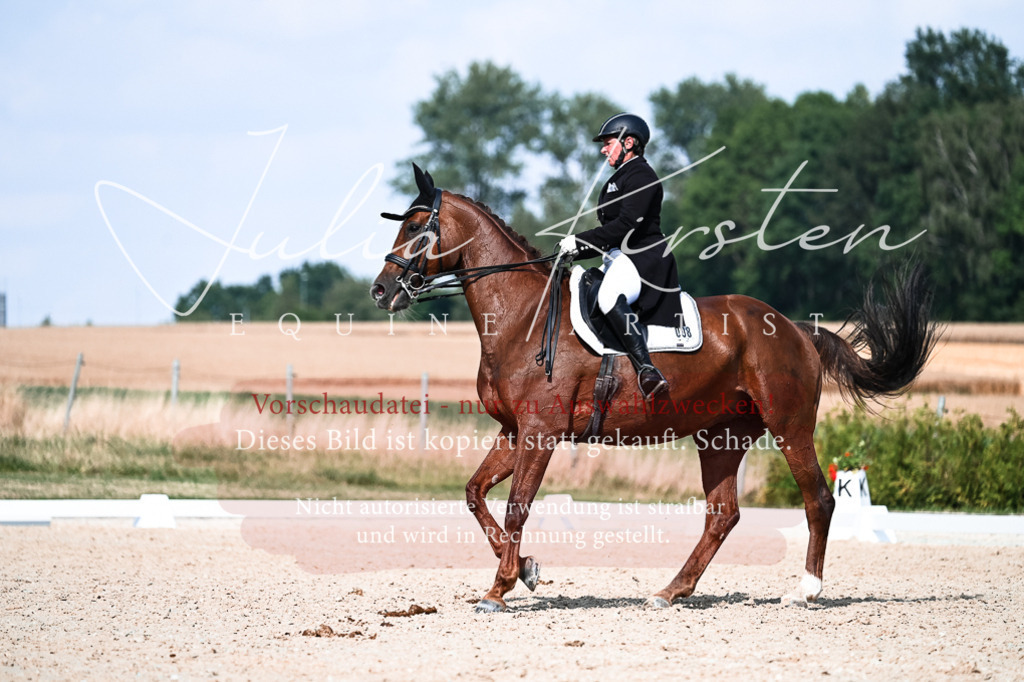 DSC_3272 | Pferde- und Turnierfotografie in Westsachsen. Pferdeportraits, Auftragszeichnungen und intuitive Kunst.