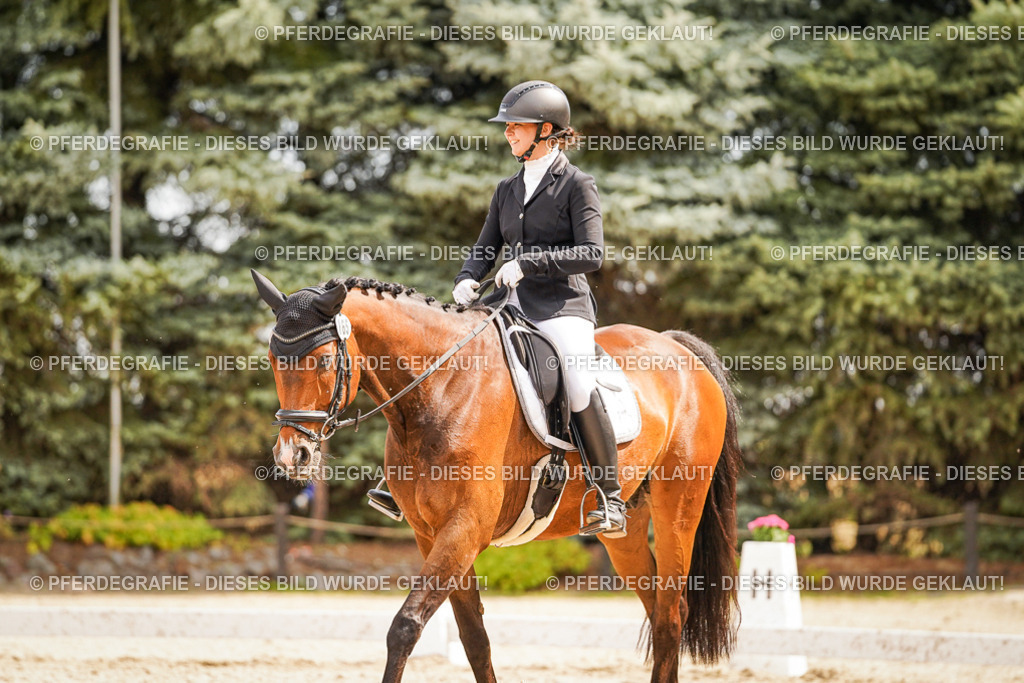 DSC01762 | Pferdegrafie