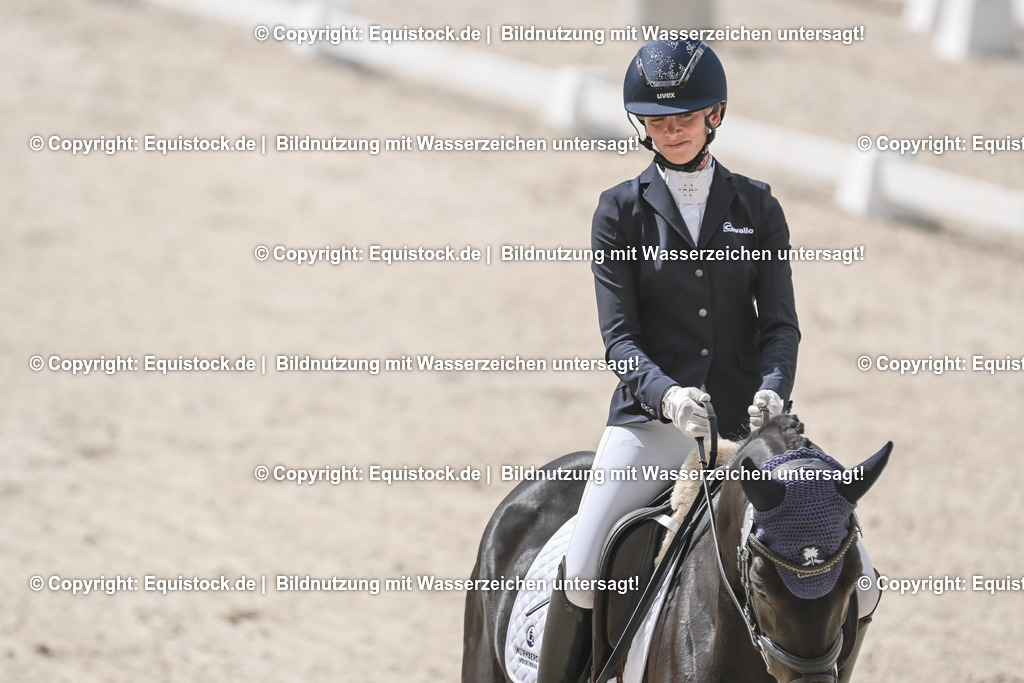 20250516_CCI2_Dressur_0448 | Foto: Thomas Hartig