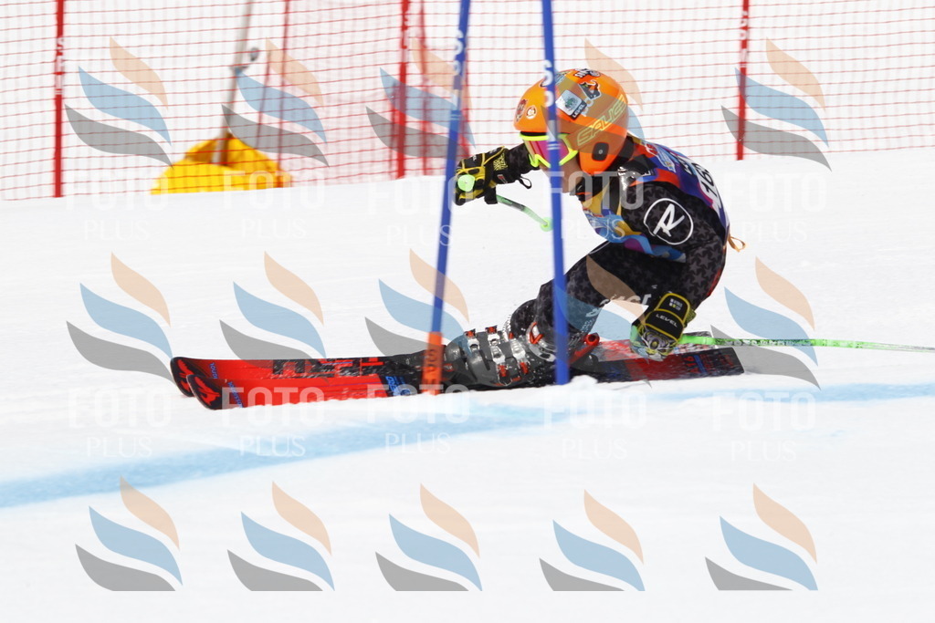 _U3G4447 | holidayphoto