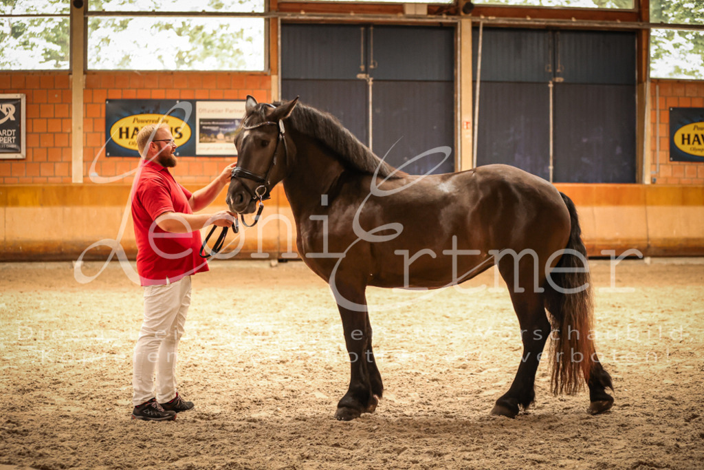 SaFL00371 | Leoni Ertmer Photography - Realisiert mit Pictrs.com