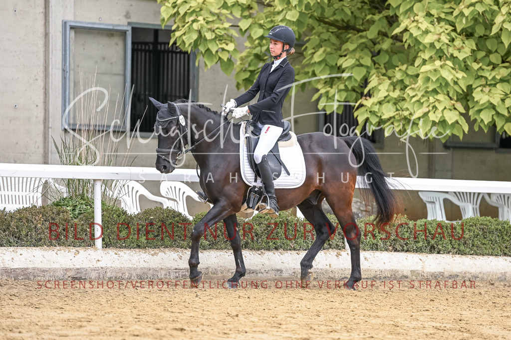 Schugtsche-Aluta25-43.EDressur -221 | Schugtsche Fotografie - Realisiert mit Pictrs.com