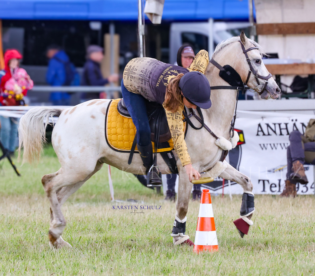 1B3A0407 | Reitsport Reiten