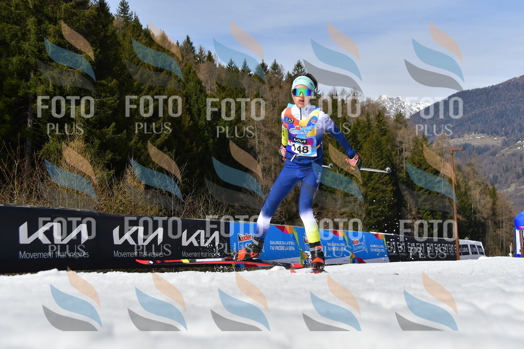 _DSC0231 | holidayphoto