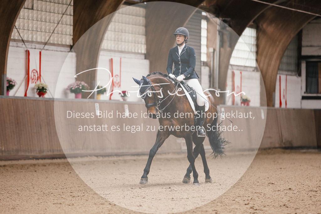 3I6A8770 | Stimmungsvolle Portraits und Reitsportfotografie im Ruhrgebiet und im Münsterland.

Pferdefotografie, Hundefotografie, Tierfotografie, Reportagen, Portraits von Tier und Mensch, Turnierfotografie in Bochum, Recklinghausen, Marl, Haltern am See, Dülmen.. - Realisiert mit Pictrs.com