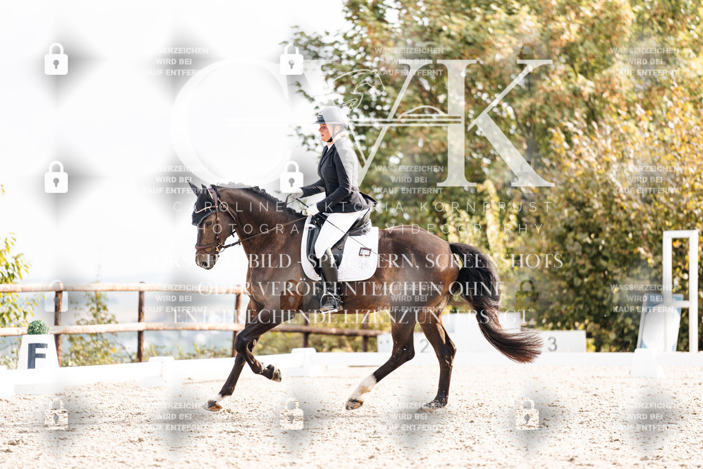 CK901261 | Turnierfotografie Pferdefotografie Trier Rheinland-Pfalz Pferdesport Reitsport Tierfotografie Sportfotografie Pferdevideo Pferdevideografie Equestrianvideography equestrianphotography  - Realisiert mit Pictrs.com
