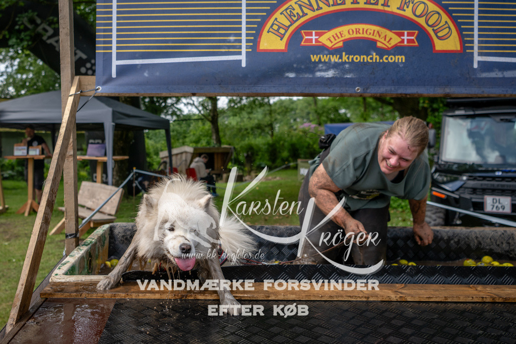 1110_ZZ92924 | kk-dogfotos
