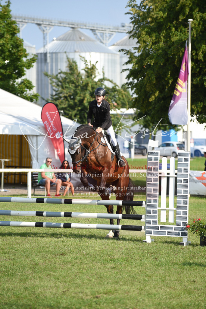 DSC_8669 | Pferde- und Turnierfotografie in Westsachsen. Pferdeportraits, Auftragszeichnungen und intuitive Kunst.