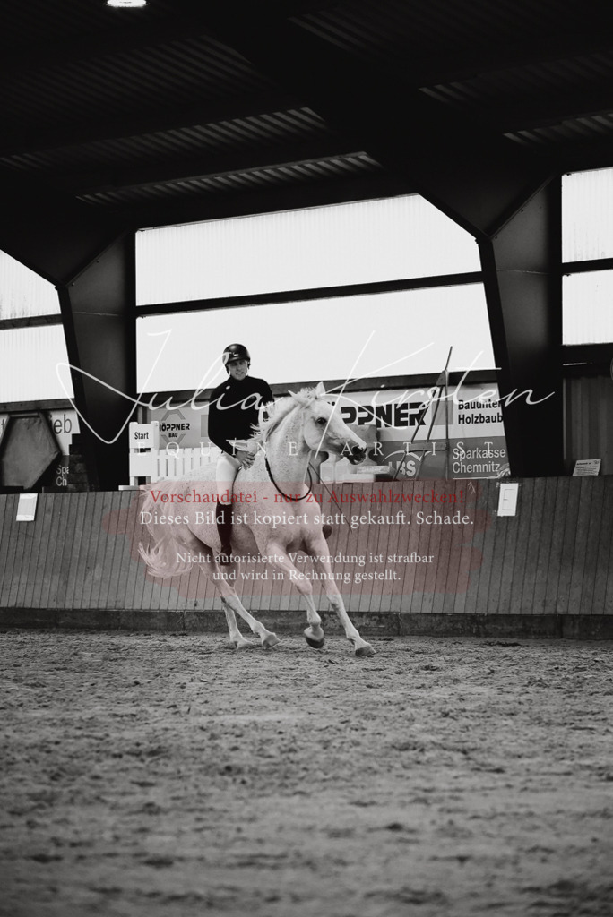 DSC_6990 | Pferde- und Turnierfotografie in Westsachsen. Pferdeportraits, Auftragszeichnungen und intuitive Kunst.