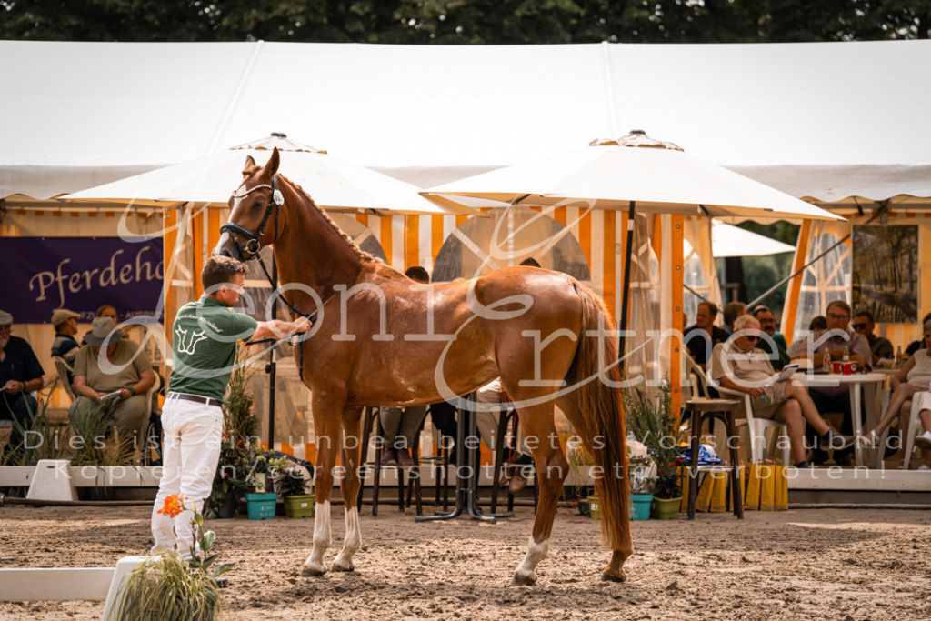 4.Fr00159 | Leoni Ertmer Photography - Realisiert mit Pictrs.com