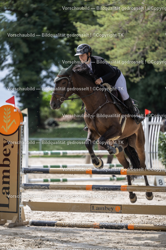 _D5A0236 | Emotionale Pferde- & People-Fotografie rund um Heidelberg, Leimen & Umgebung. Natürliche Fotos von Pferd, Mensch & Familie. Jetzt Termin sichern!