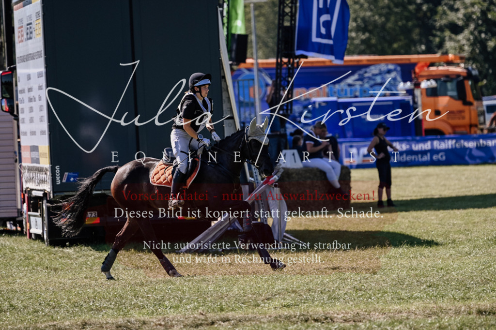 DSC_1790 | Pferde- und Turnierfotografie in Westsachsen. Pferdeportraits, Auftragszeichnungen und intuitive Kunst.