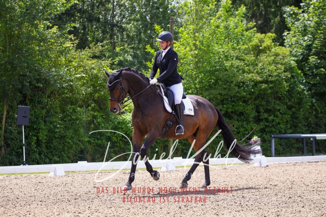 DKP41017 | Turnierfotos kaufen im Webshop von Daniel Kuhl Photography – entdecke professionelle Reitsportfotos aus Turnieren & Events. Hochwertige Turnierbilder online bestellen & sichern. Jetzt Fotos von Reitsportturnieren kaufen!