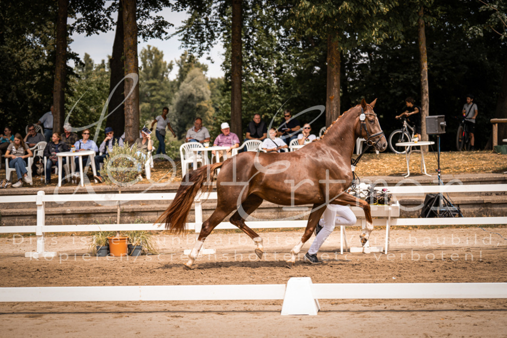 3.Fr00086 | Leoni Ertmer Photography - Realisiert mit Pictrs.com