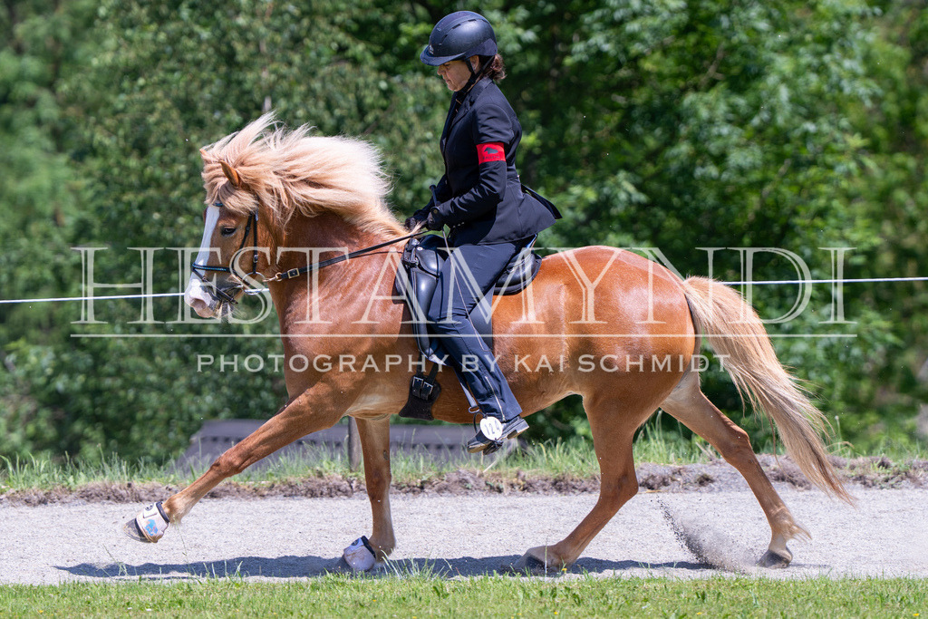 KAI03369 | Ihr sucht einen Fotografen für eure nächste OSI? Ich begleite auch euer Turnier für Islandpferde fotografisch.  - Realisiert mit Pictrs.com
