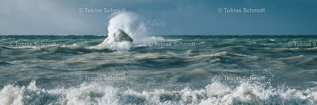 Fehmarn__DSC5573-2 | Fotoprodukte, Kalender und Wanddeko direkt vom Fotografen auf Fehmarn. Ob Wandbild auf Alu-Dibond, hinter Acrylglas oder auf Leinwand – hier können Sie Ihr Lieblingsbild kaufen. - Realisiert mit Pictrs.com