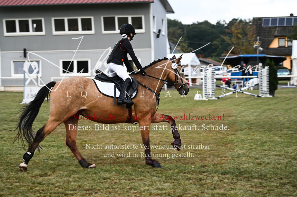 DSC_5611-2 | Pferde- und Turnierfotografie in Westsachsen. Pferdeportraits, Auftragszeichnungen und intuitive Kunst.