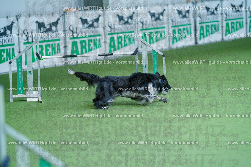 @allesWIRTHgut_Tierfotografie - www.allesWIRTHgut.de - 2604261357-7R503016 | Professionelle Tierfotografie in Mönchengladbach von Daniel Wirth (allesWIRTHgut). Liebevolle & natürliche Bilder von Hunden & Katzen für unvergessliche Erinnerungen.