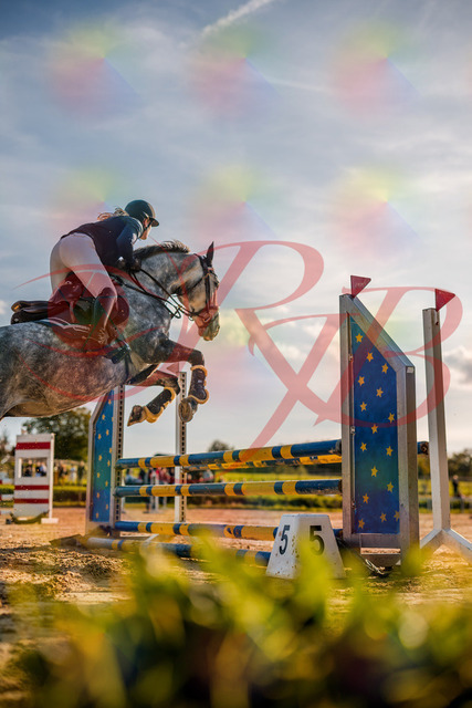 2026_10_03_Siefer-Hof_171334_Z63_21424397 | Professionelle Reitsport-, Turnier- und Eventfotografie von Robert Broda. Galerien mit ausgewählten und bearbeiteten Bildern direkt online ansehen und bestellen.