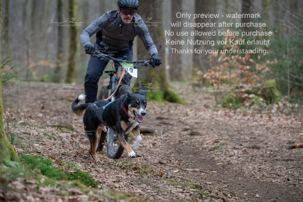 Bike_So-170 | stephaniefillaphotographie - Realisiert mit Pictrs.com