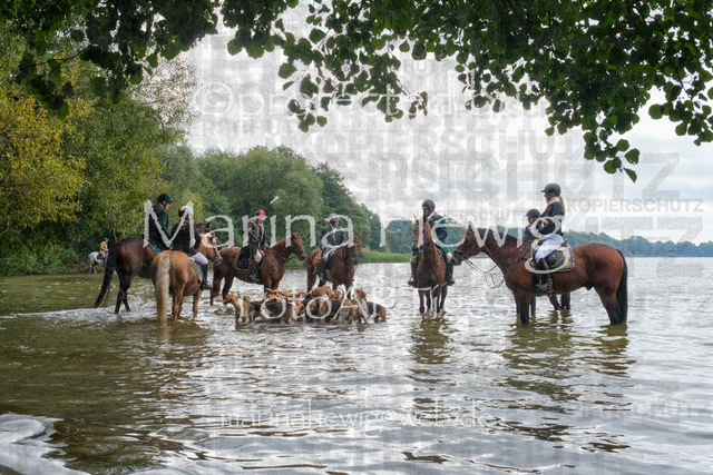 Jagd Perdoel_MarinaHewigDSCF3516 | Fotografie, FotoArt, PferdesportArt, Pferdesportfotografie, Landschaftsfotografie, Reisefotografie, Reise, Pferde - Realisiert mit Pictrs.com